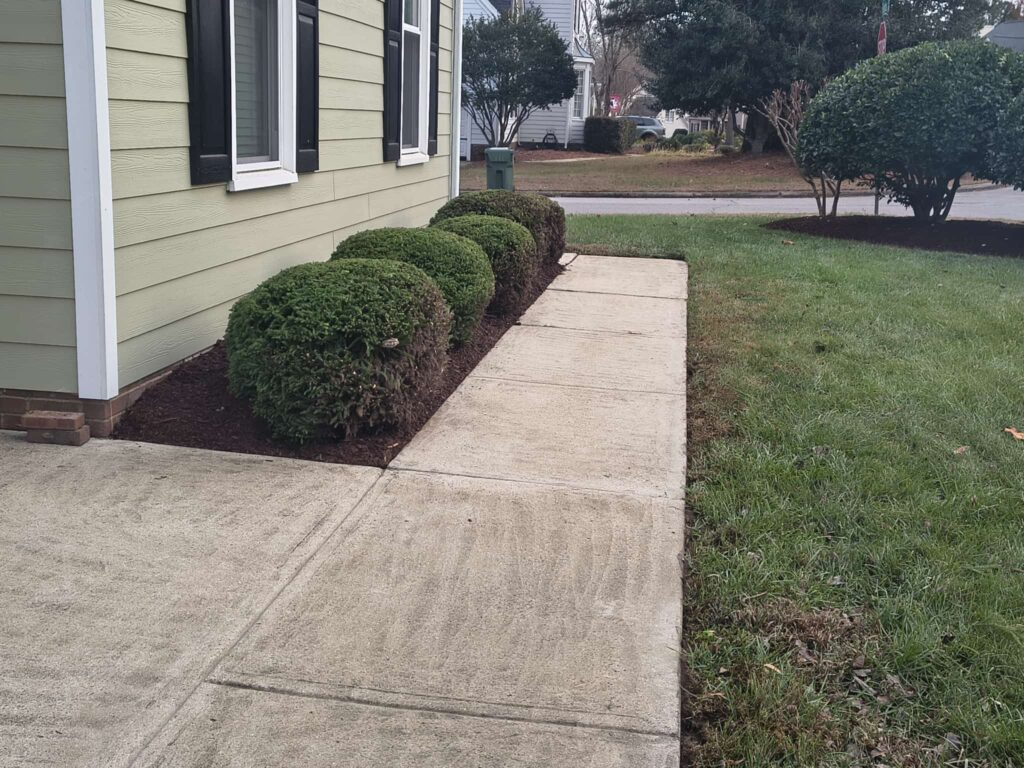 Concrete Contractor in Raleigh