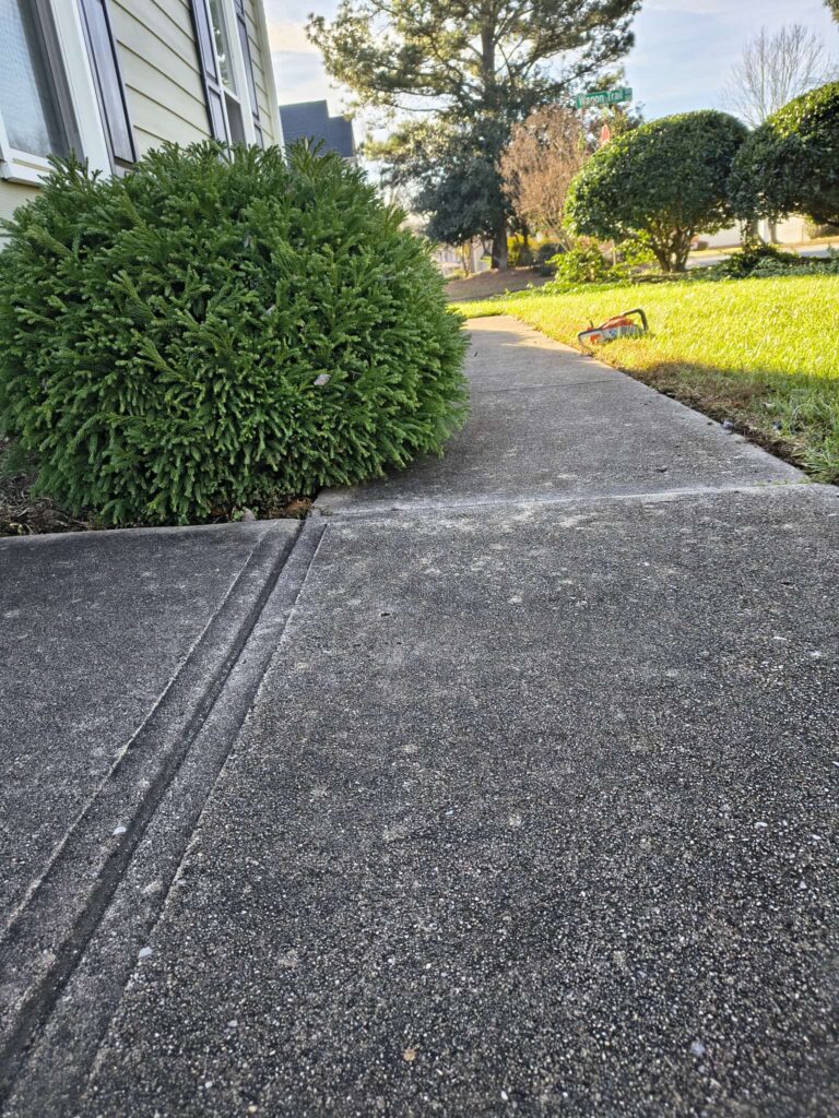 Concrete Contractor in Raleigh