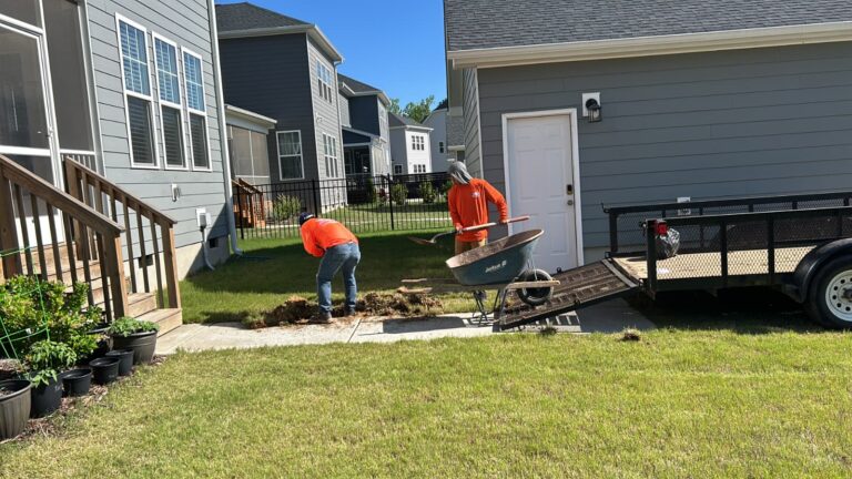 Lawn Care in Raleigh