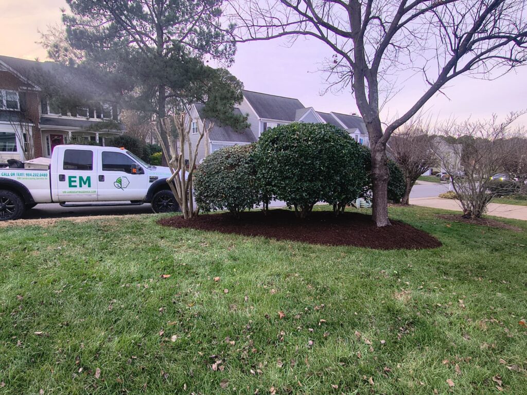 Local Lawn Care Maintenance Raleigh