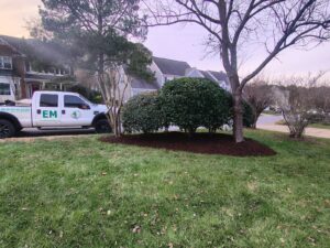 Local Lawn Care Maintenance Raleigh