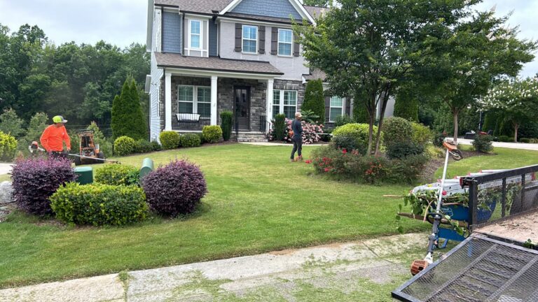 Mulch Design During Mulch Installation