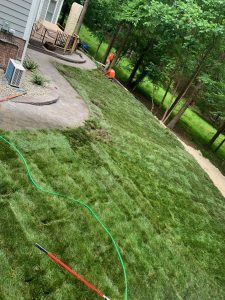 SOD Installation