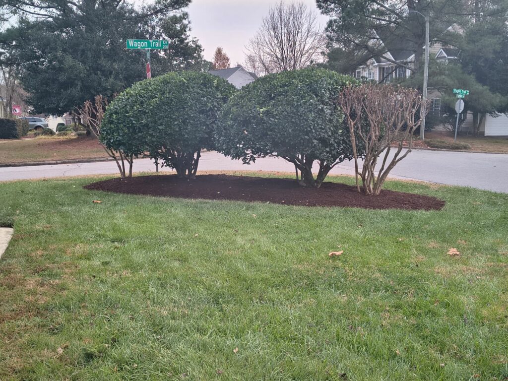 Mulch Installation